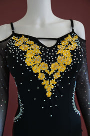 Vintage theatrical  ballroom dancer competition dress
