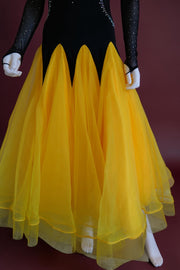 Vintage theatrical  ballroom dancer competition dress