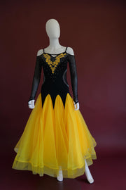 Vintage theatrical  ballroom dancer competition dress